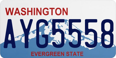 WA license plate AYG5558