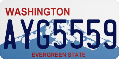WA license plate AYG5559