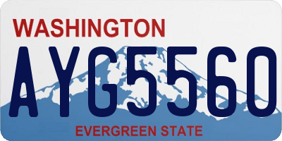 WA license plate AYG5560