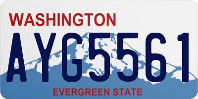 WA license plate AYG5561