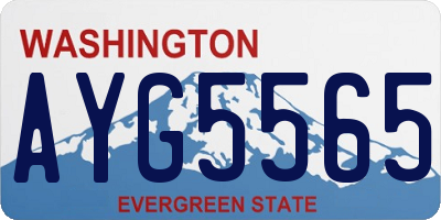 WA license plate AYG5565