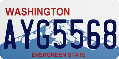 WA license plate AYG5568