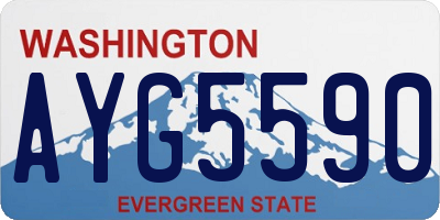 WA license plate AYG5590