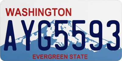 WA license plate AYG5593
