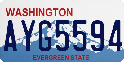 WA license plate AYG5594