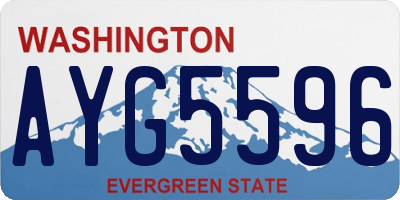 WA license plate AYG5596