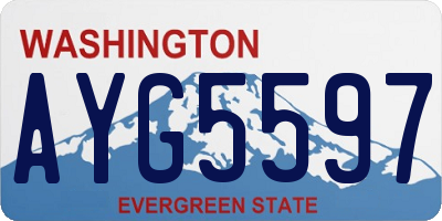 WA license plate AYG5597