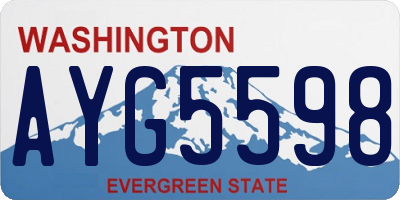 WA license plate AYG5598