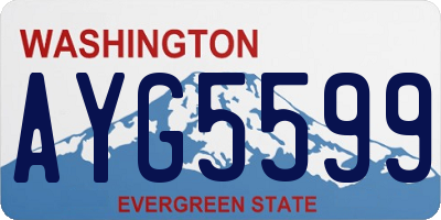 WA license plate AYG5599
