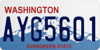 WA license plate AYG5601