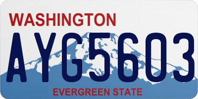 WA license plate AYG5603