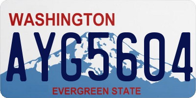 WA license plate AYG5604