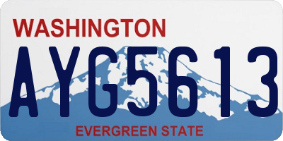 WA license plate AYG5613