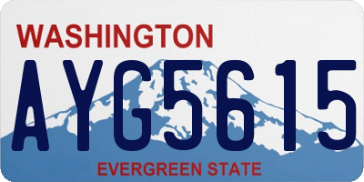 WA license plate AYG5615