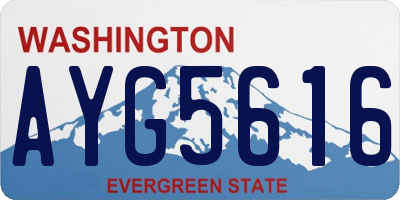WA license plate AYG5616