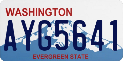 WA license plate AYG5641