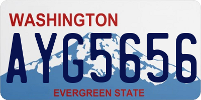 WA license plate AYG5656