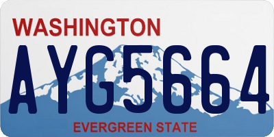 WA license plate AYG5664