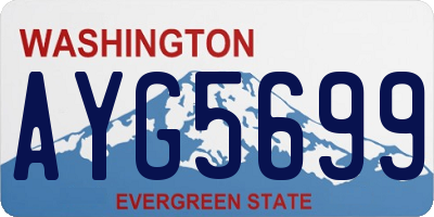 WA license plate AYG5699