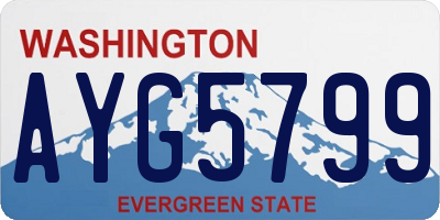 WA license plate AYG5799