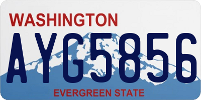 WA license plate AYG5856