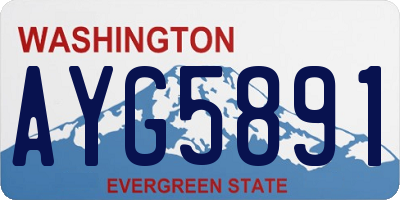 WA license plate AYG5891