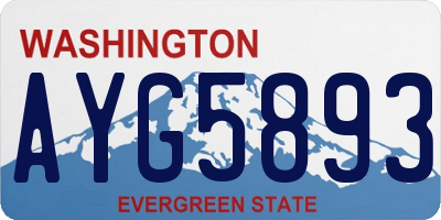 WA license plate AYG5893