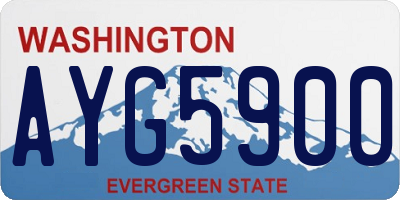 WA license plate AYG5900