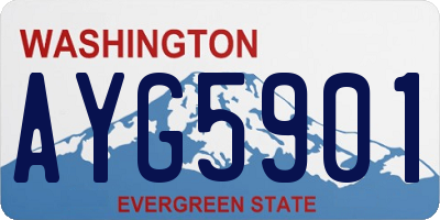 WA license plate AYG5901
