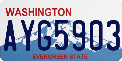 WA license plate AYG5903