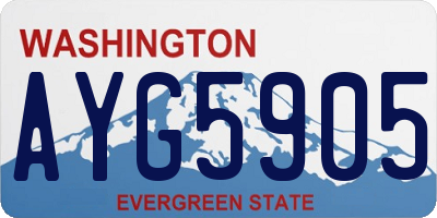 WA license plate AYG5905