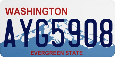 WA license plate AYG5908