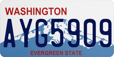 WA license plate AYG5909
