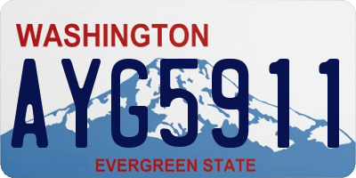 WA license plate AYG5911