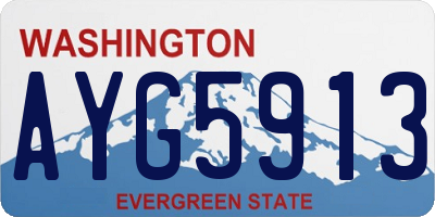 WA license plate AYG5913