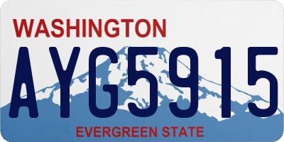WA license plate AYG5915