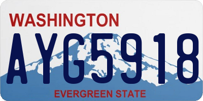 WA license plate AYG5918