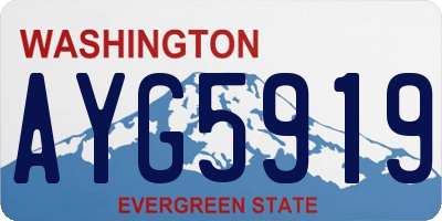 WA license plate AYG5919