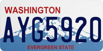 WA license plate AYG5920