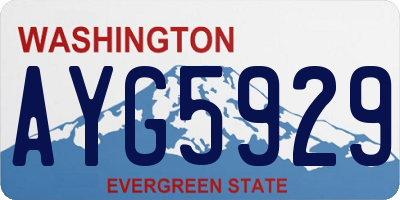 WA license plate AYG5929
