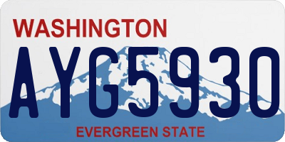 WA license plate AYG5930