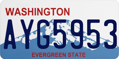 WA license plate AYG5953