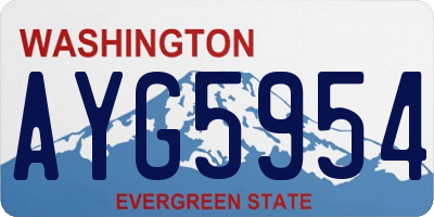 WA license plate AYG5954