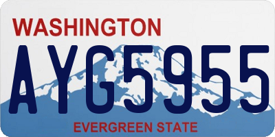 WA license plate AYG5955
