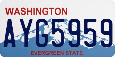 WA license plate AYG5959