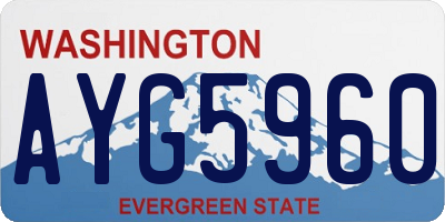 WA license plate AYG5960