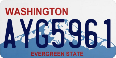 WA license plate AYG5961