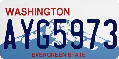 WA license plate AYG5973
