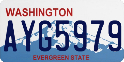 WA license plate AYG5979