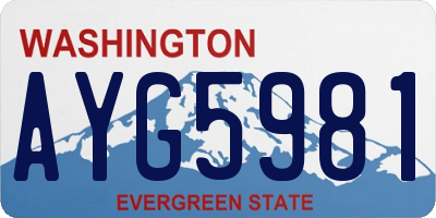 WA license plate AYG5981